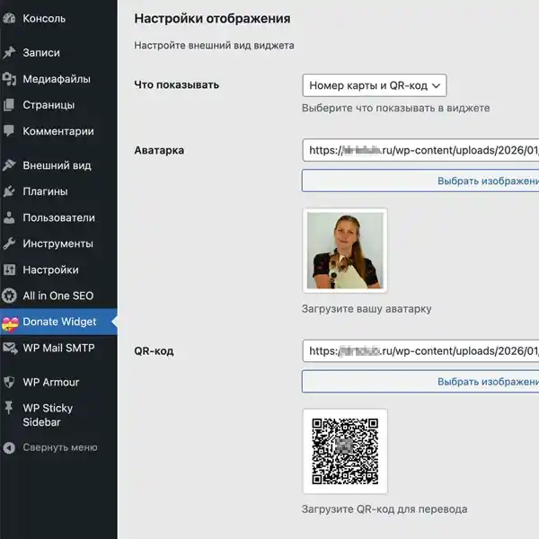 Настройки отображения Donate Widget